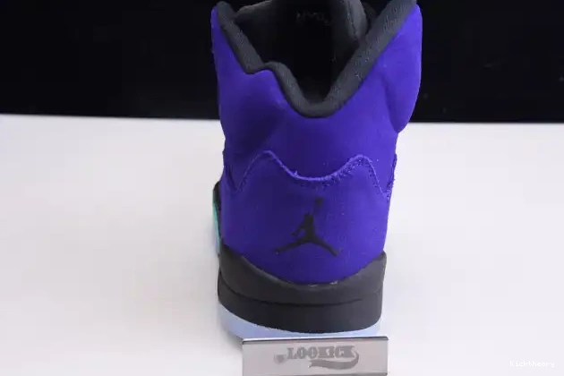 Kicktheory Jordan Grape Retro Alternate Air 136027-500 5 0531